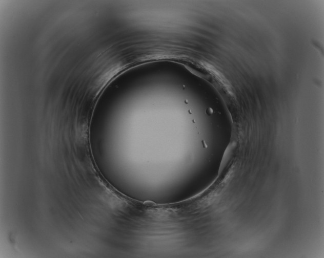 X0000092321185200709141407