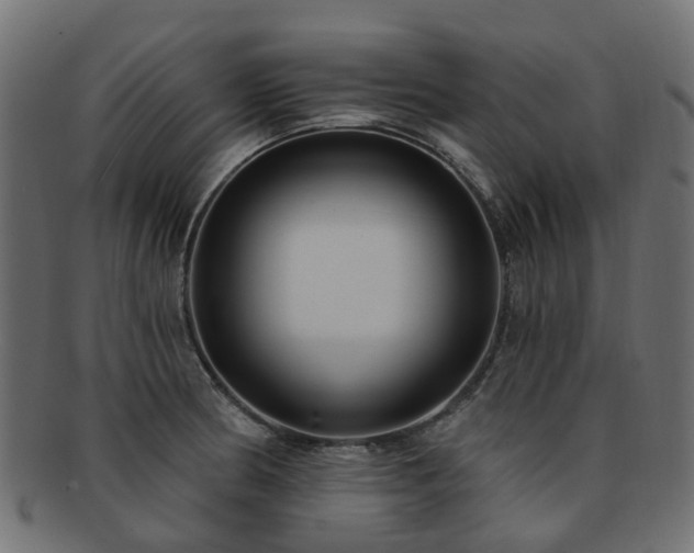 X0000092321186200709141407