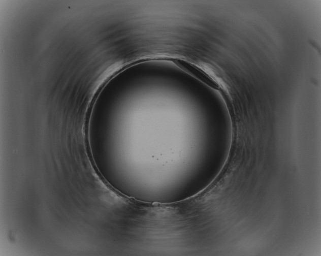X0000092321189200709141407