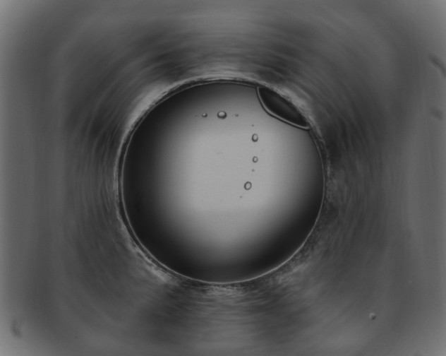 X0000092321191200709141407