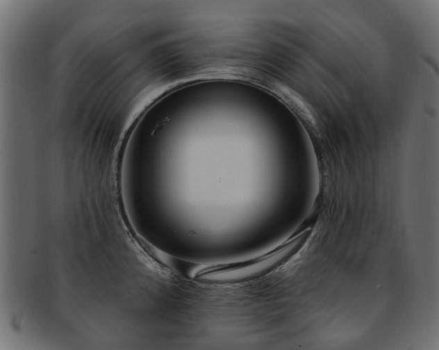 X0000092321192200709141407