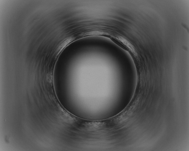 X0000092321193200709141407