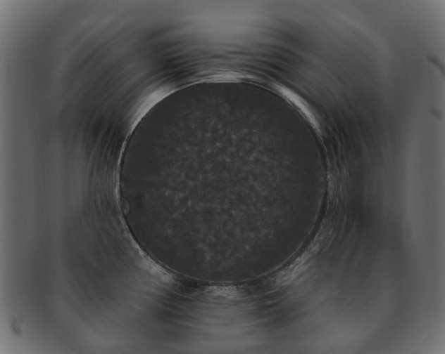 X0000092321194200709141407