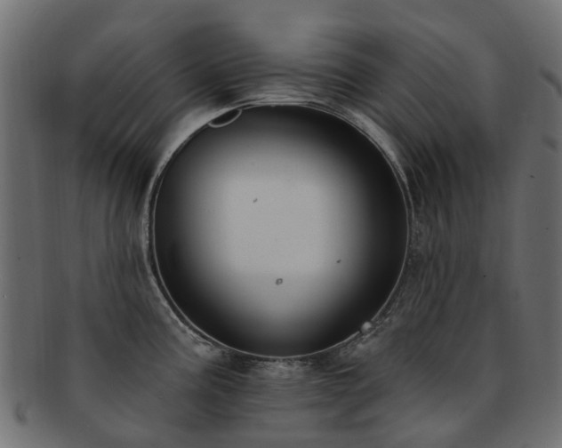 X0000092321195200709141407