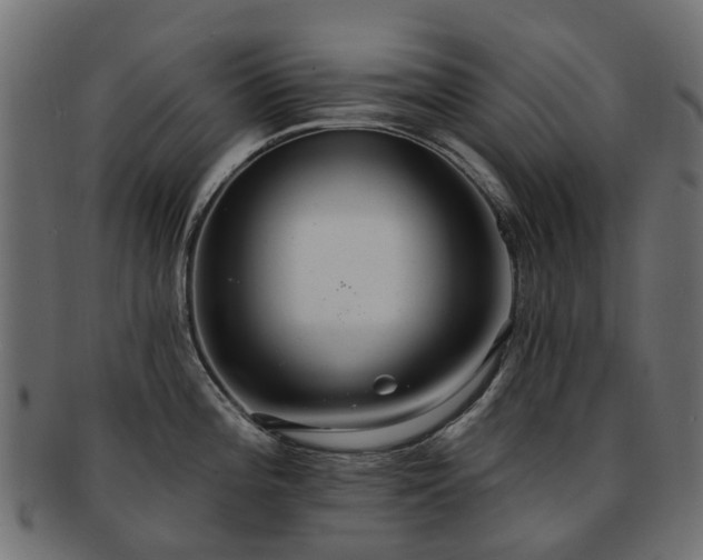 X0000092321196200709141407