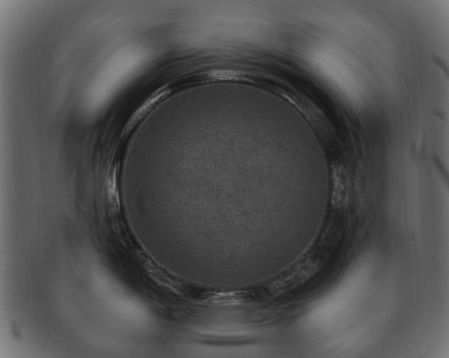 X0000092321198200709141407