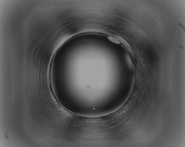 X0000092321199200709141407