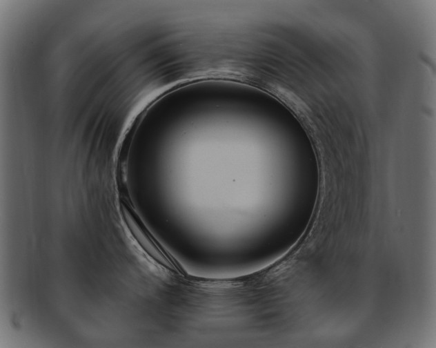 X0000092321200200709141407