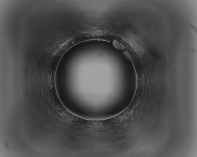 X0000092321205200709141406