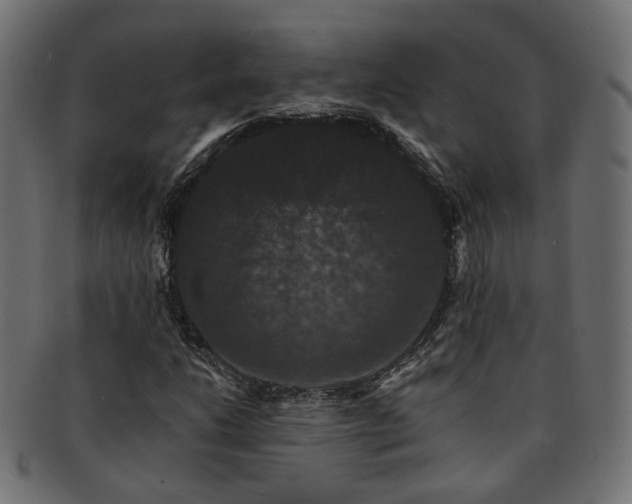X0000092321206200709141406