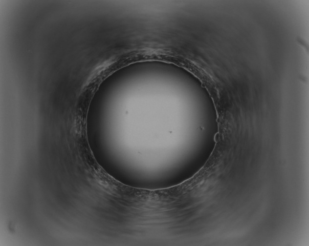 X0000092321207200709141406