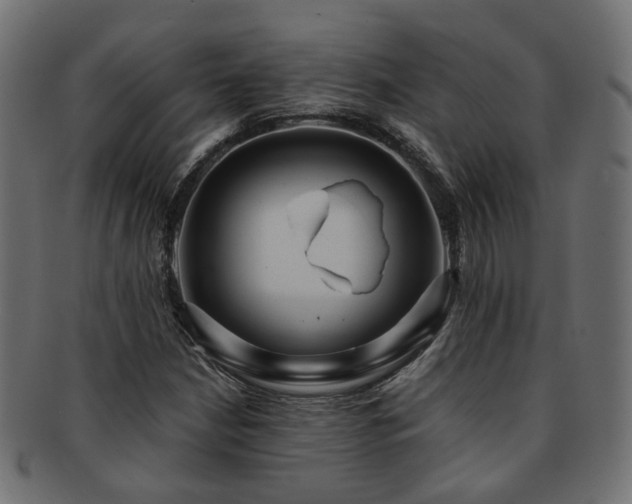 X0000092321210200709141406