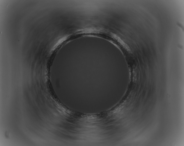 X0000092321213200709141406
