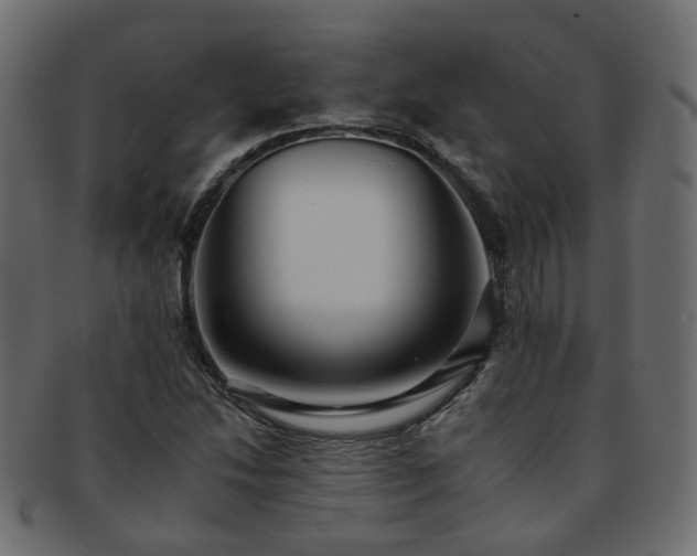 X0000092321214200709141407