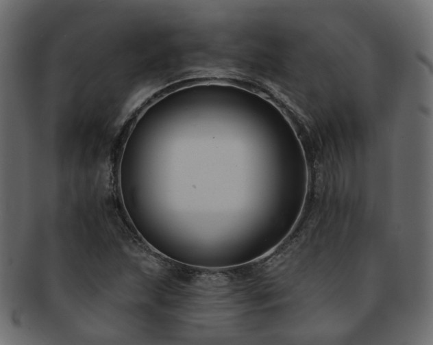 X0000092321215200709141407