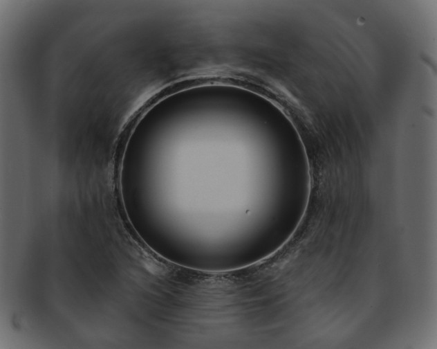 X0000092321216200709141407