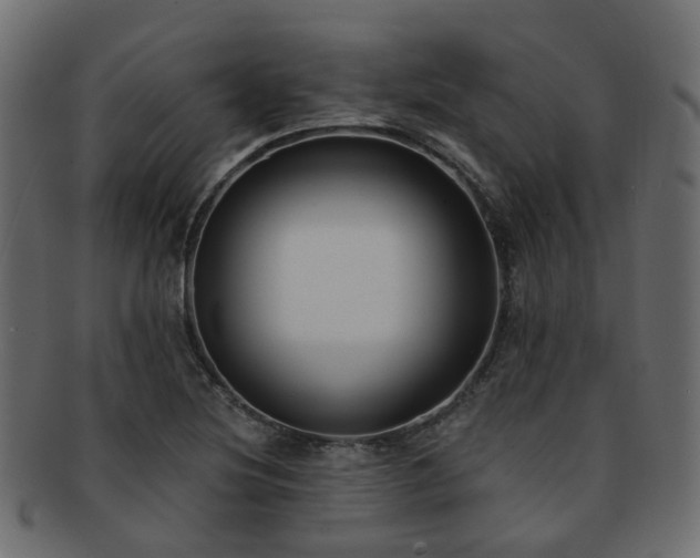 X0000092321220200709141407