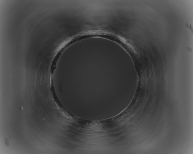 X0000092321221200709141407