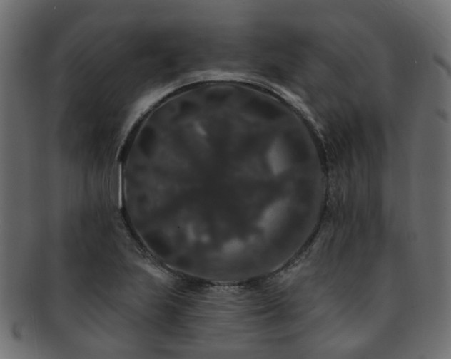 X0000092321223200709141407