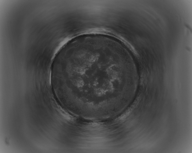 X0000092321224200709141407
