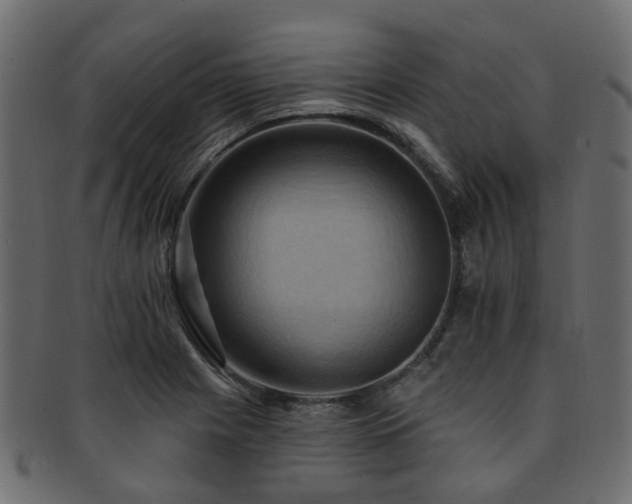 X0000092321225200709141407