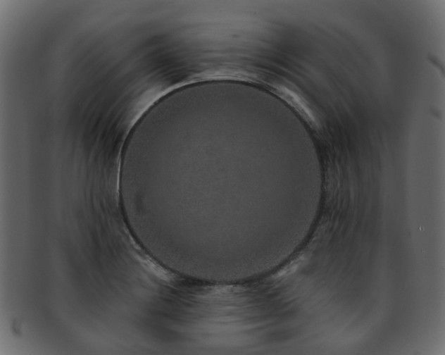 X0000092321228200709141407