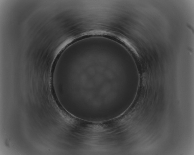 X0000092321229200709141407