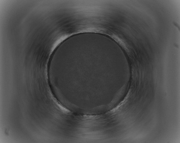 X0000092321230200709141407