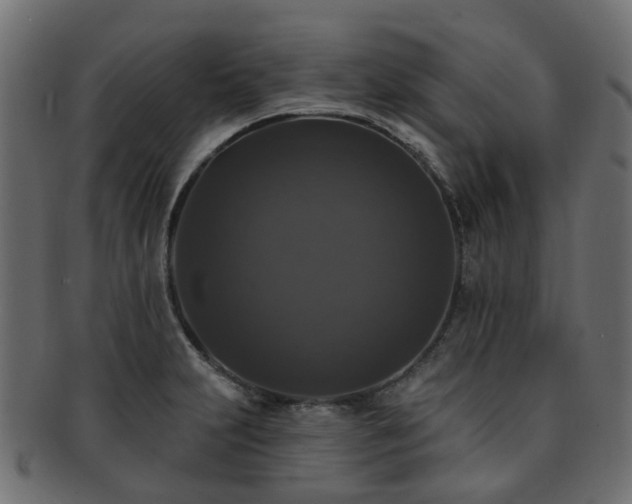 X0000092321231200709141407