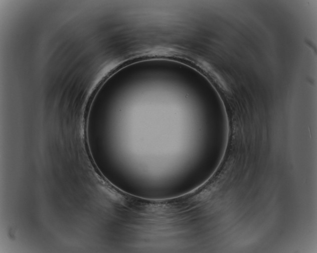 X0000092321232200709141407