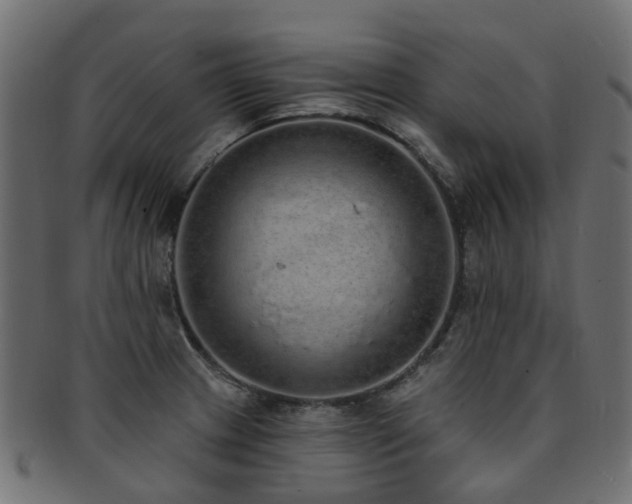 X0000092321233200709141407