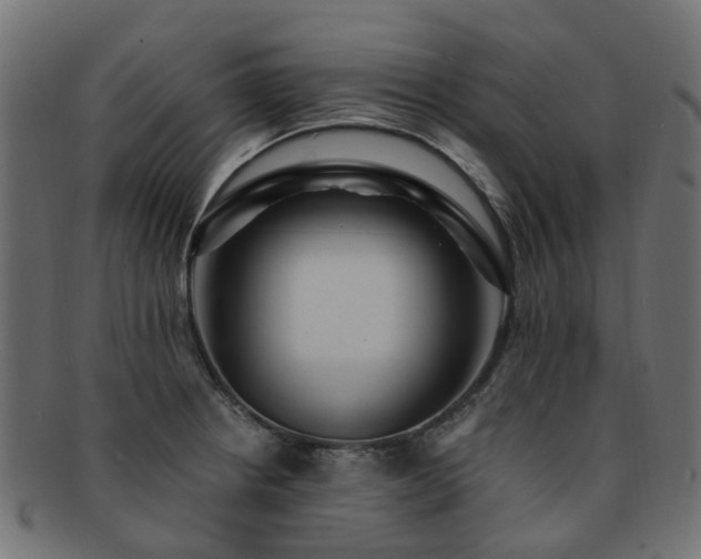 X0000092321234200709141407