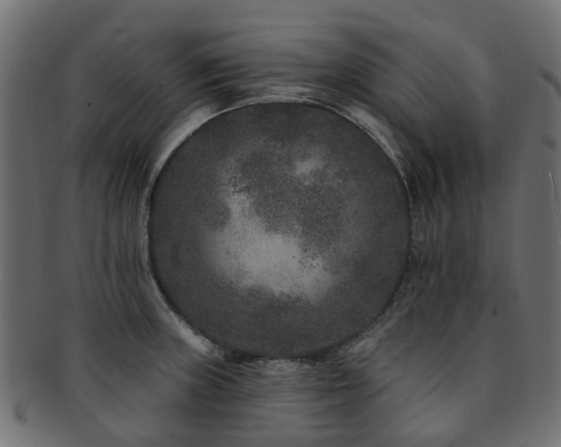 X0000092321235200709141407