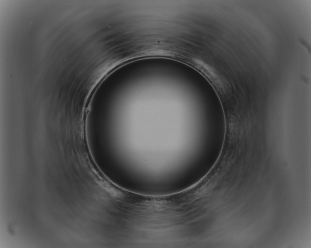 X0000092321236200709141407