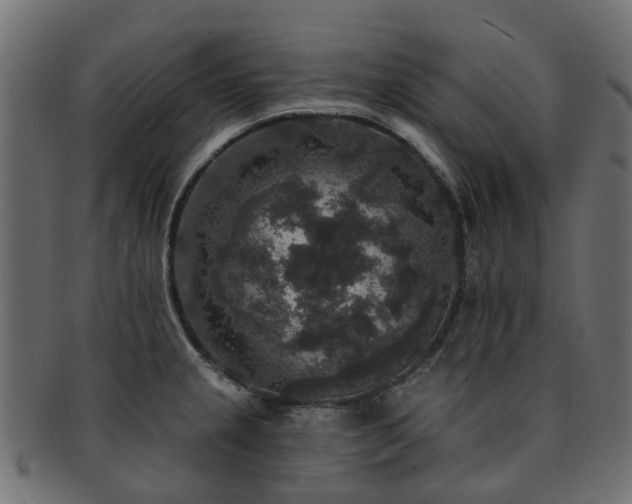 X0000092321237200709141407