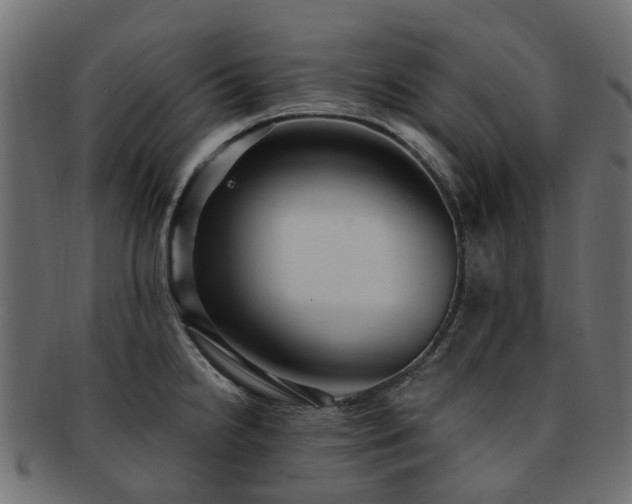 X0000092321238200709141407