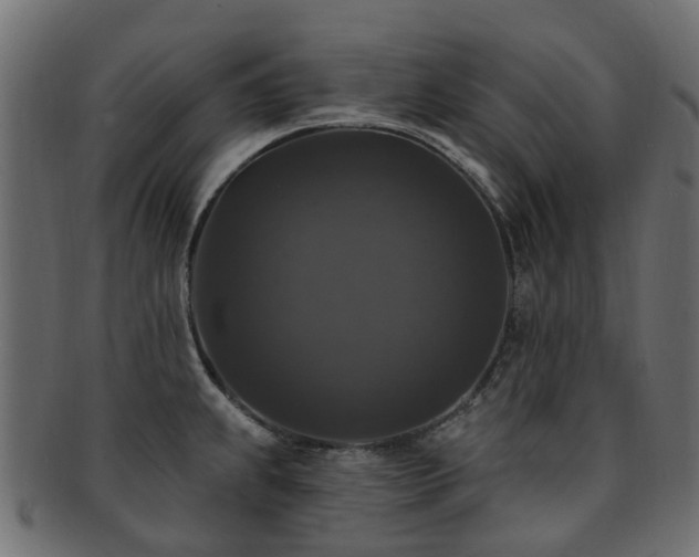 X0000092321239200709141407