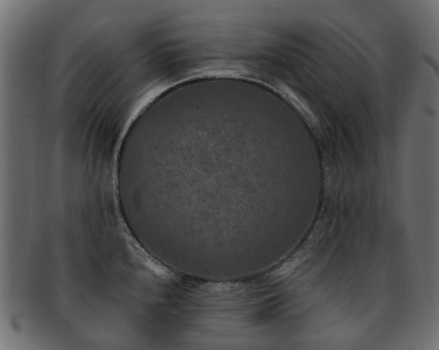 X0000092321240200709141407