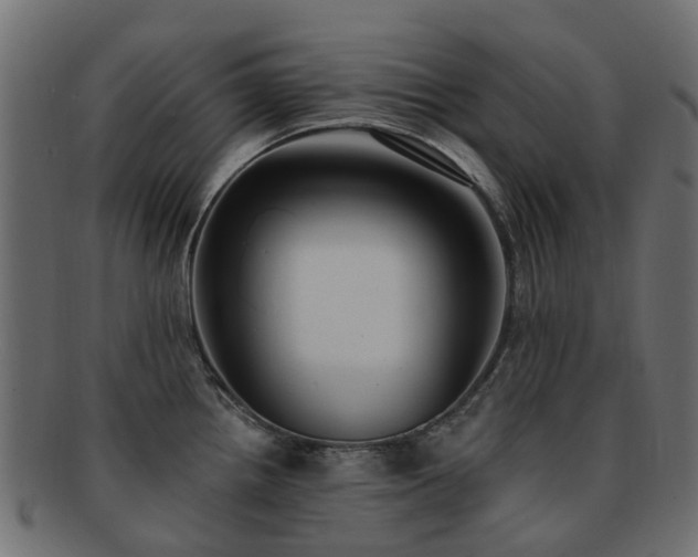 X0000092321242200709141407