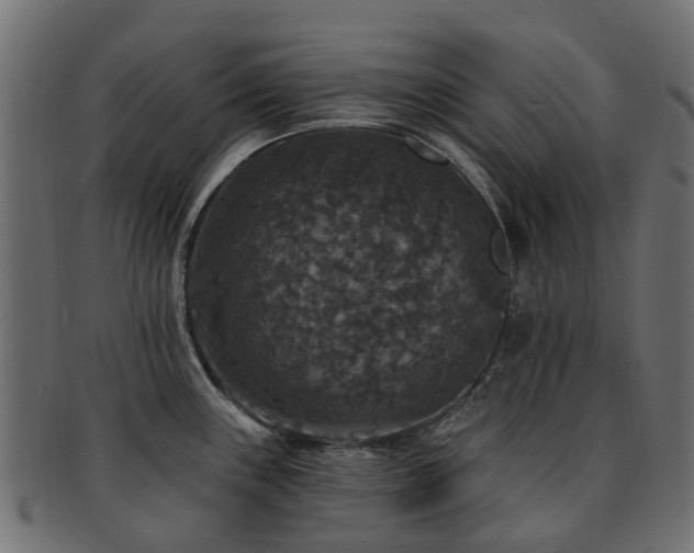 X0000092321243200709141407