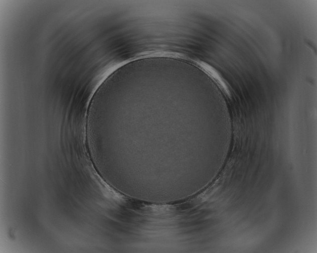 X0000092321244200709141407