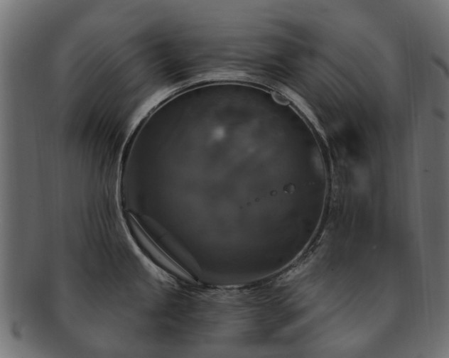 X0000092321245200709141407