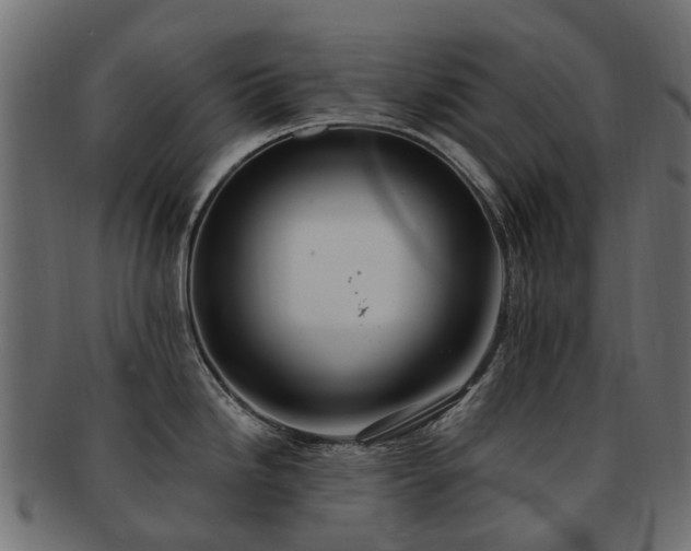 X0000092321246200709141407