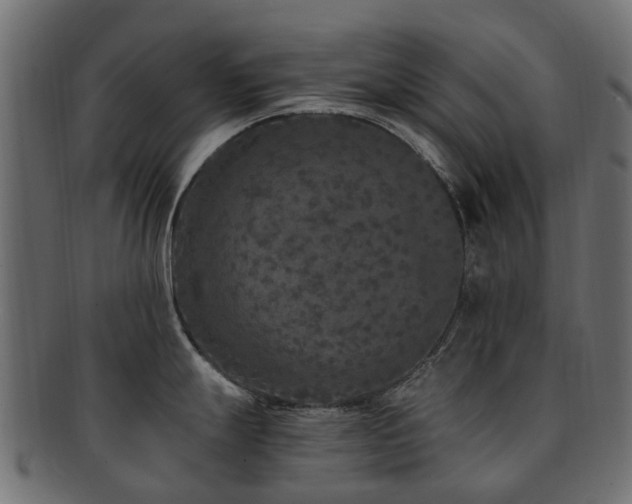 X0000092321247200709141407