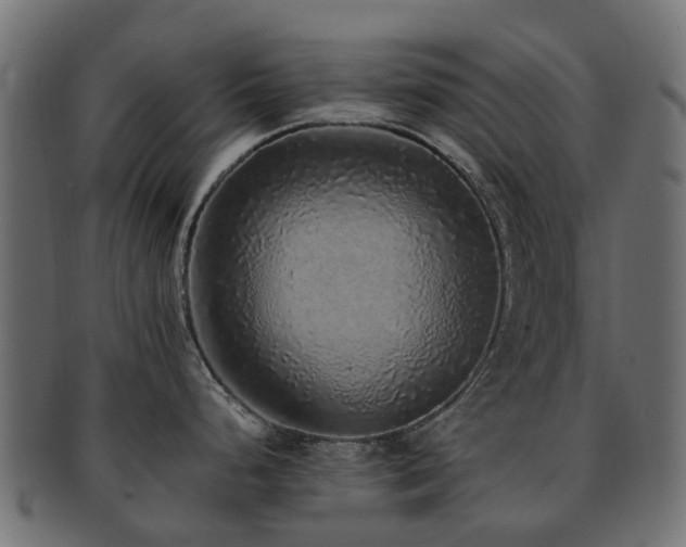 X0000092321248200709141407