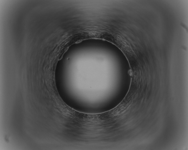X0000092321249200709141406