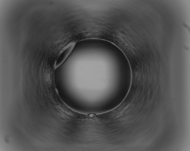 X0000092321250200709141406