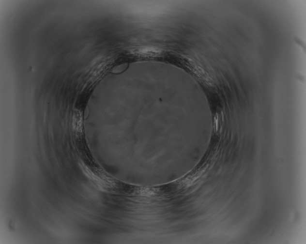 X0000092321251200709141406