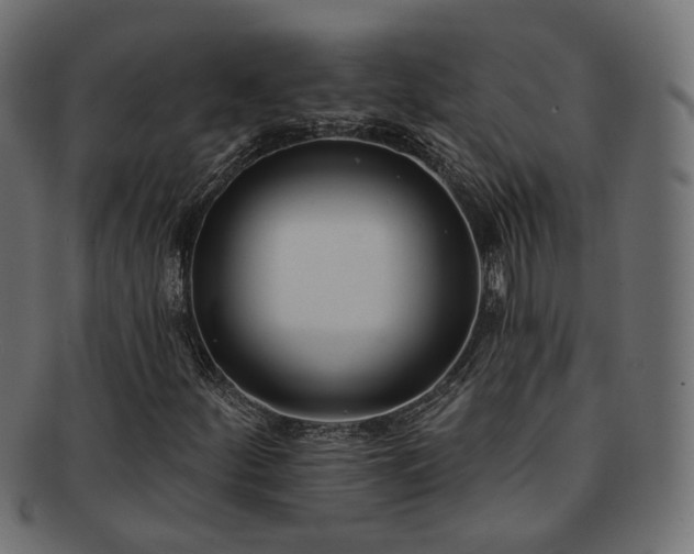 X0000092321252200709141406