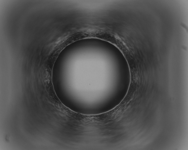 X0000092321253200709141406